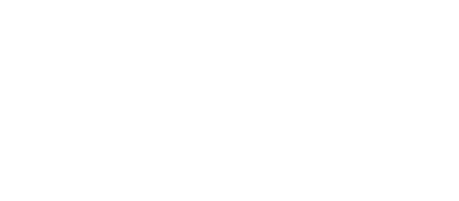 Birdsong at the Rim Logo